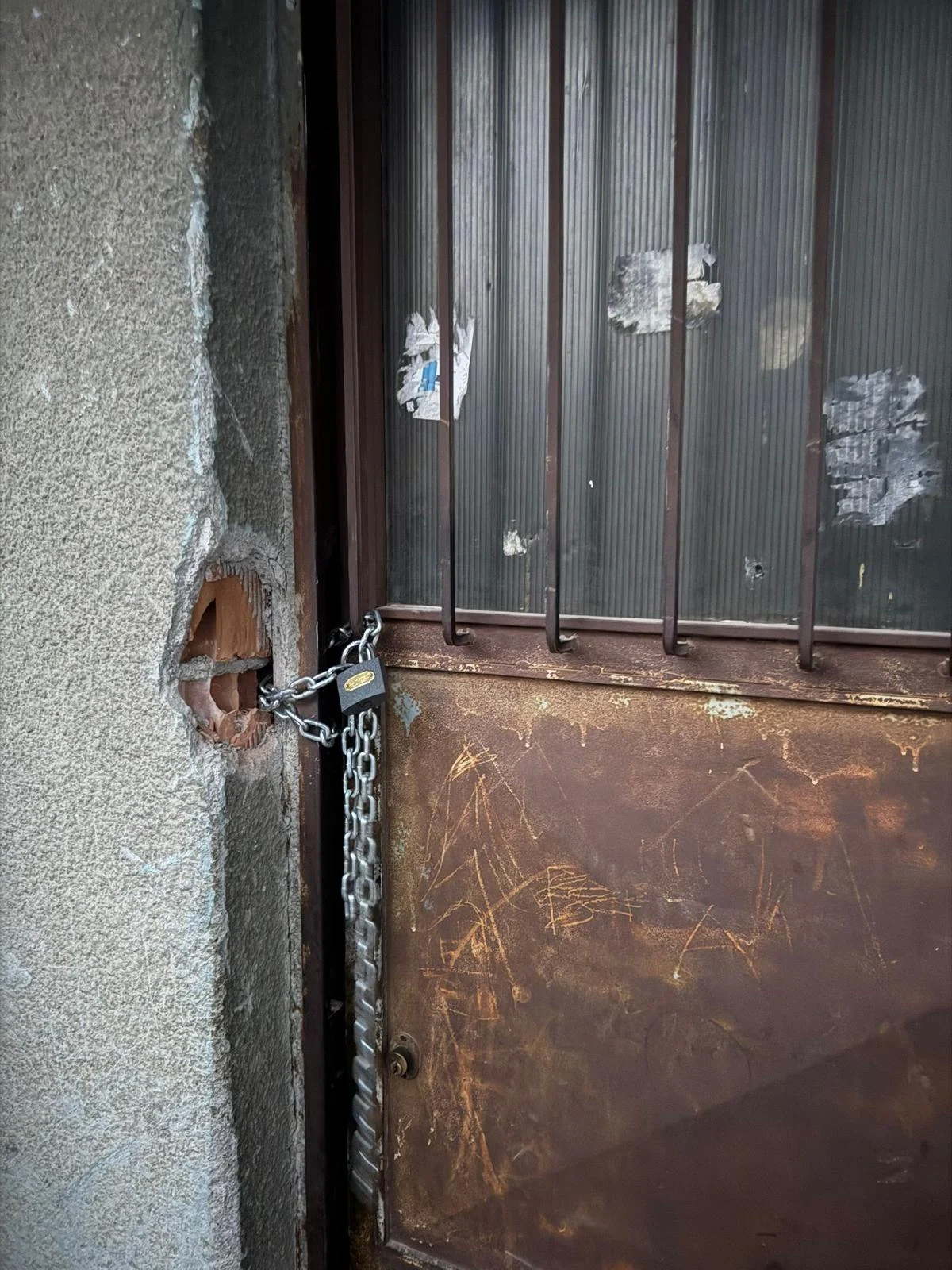 Whatsapp Image 2026 01 30 At 11.11.09 (3)