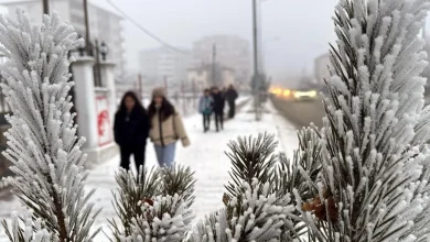 Ardahan'da Dondurucu Soğuk: Gölde Rekor Eksi 36 Derece!