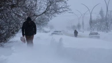 Doğu Anadolu'da kar felaketi: 4 ilde 343 yol kapandı!