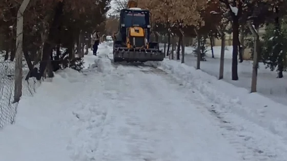 Doğu Anadolu'da kar yağışı ulaşımı olumsuz etkiliyor