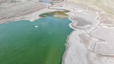 Kabaklı Göleti'nde su seviyesi alarm veriyor!