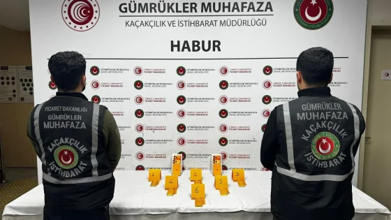 Habur Gümrük Kapısı'nda 41 kilogram altın kaçakçılığına geçit verilmedi
